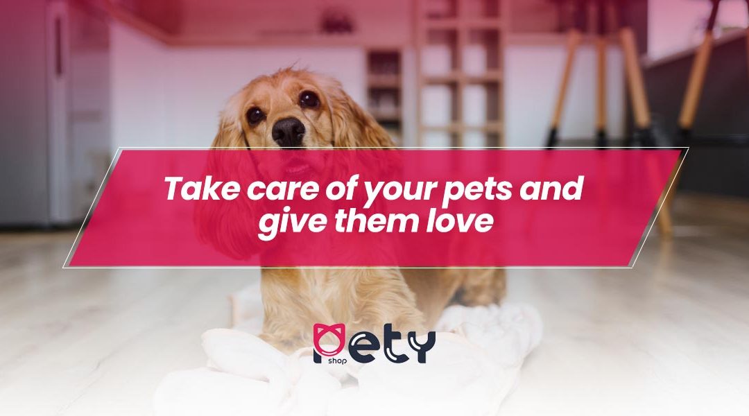 Take care of your pets and give them love