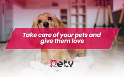 Take care of your pets and give them love