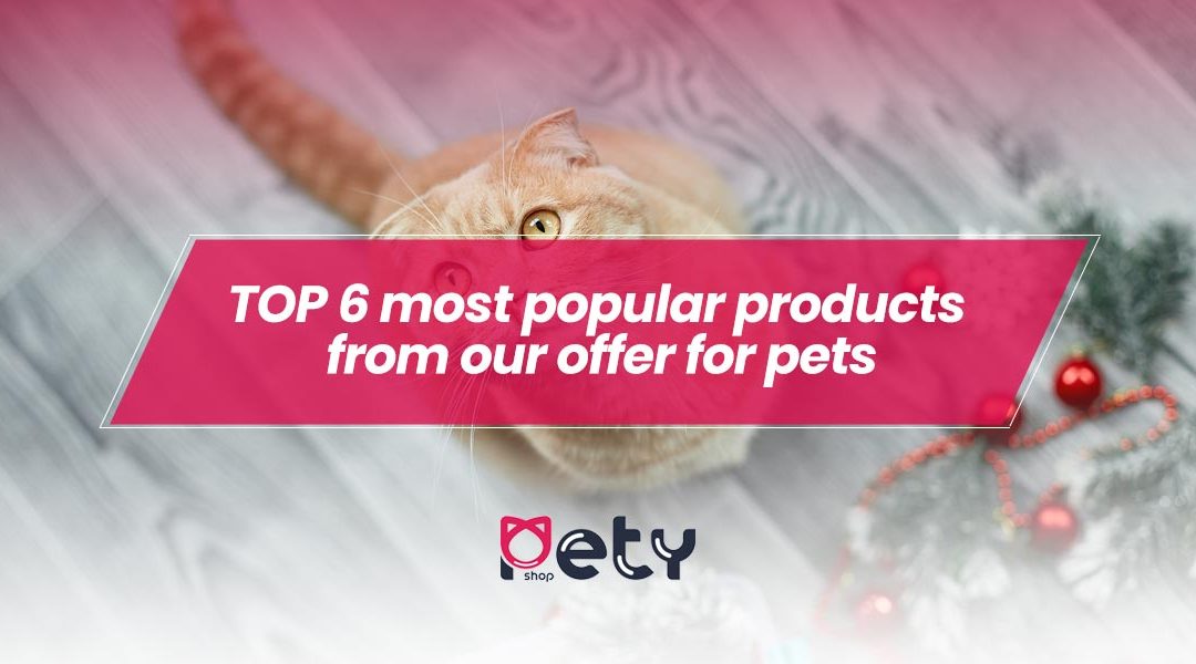 TOP 6 most popular products from our offer for pets