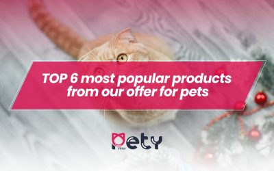 TOP 6 most popular products from our offer for pets