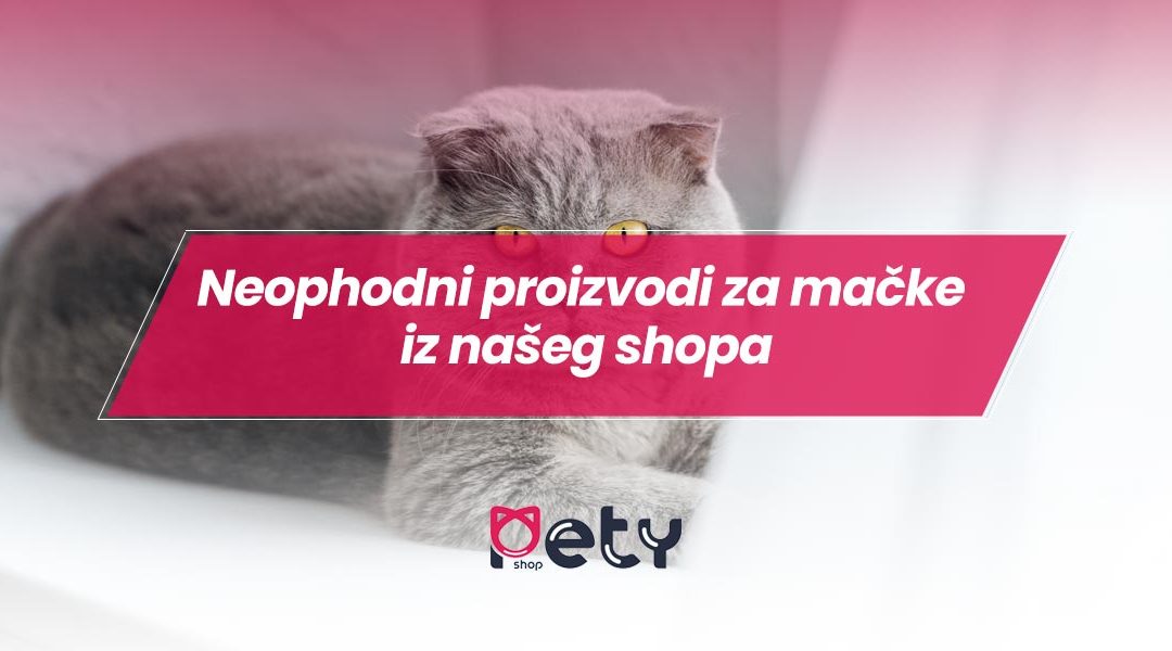 Neophodni proizvodi za mačke iz našeg shopa