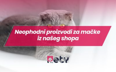 Neophodni proizvodi za mačke iz našeg shopa